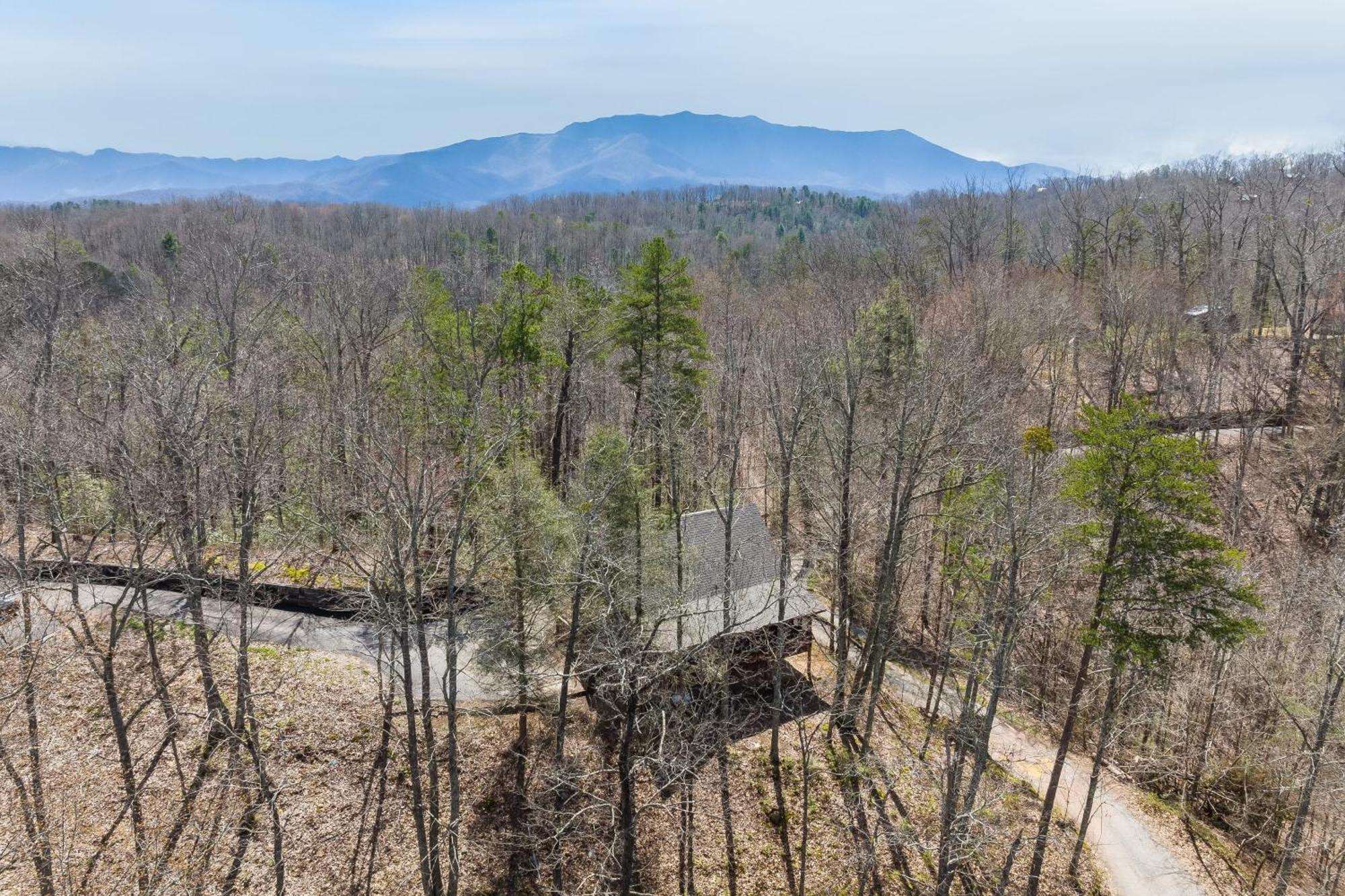 Dudley II By Avantstay Comfortable Cabin W Hot Tub Views Pigeon Forge Exterior photo